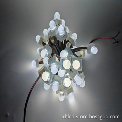 24V DC RGBW Pixel LED Point Light for Durable Outdoor Christmas Decoration